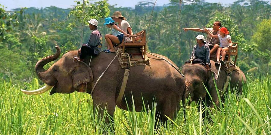 Jim Corbett Tour Package