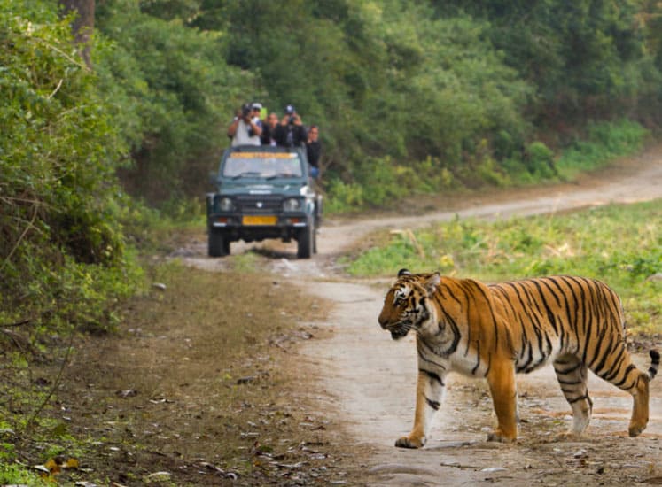 JIM CORBETT PARK