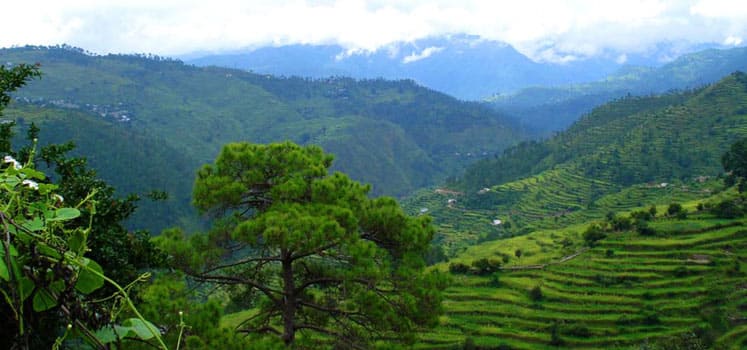 Ranikhet