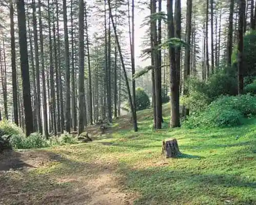 DHANAULTI