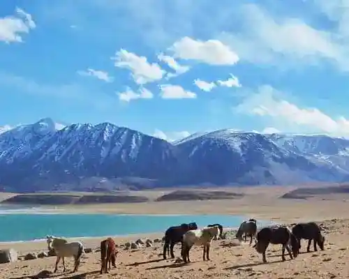 LEH LADAKH