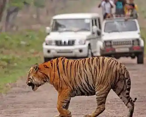 NAINITAL - JIM CORBETT